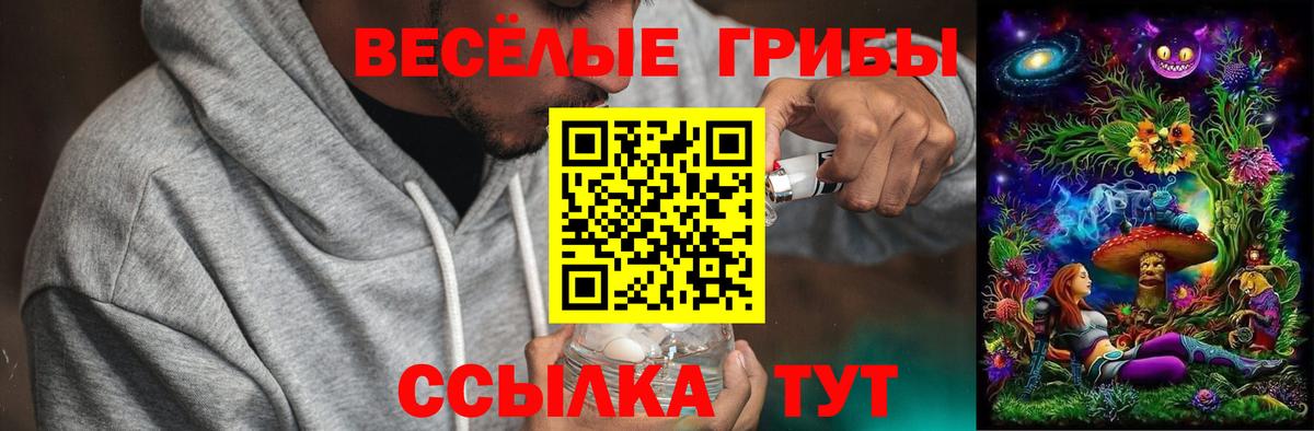 Псилоцибиновые грибы ЛСД  Вход с VPN  Котлас  купить закладку  Псилоцибиновые грибы Cubensis 