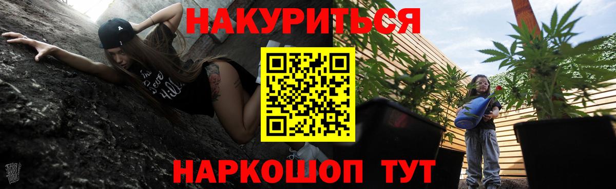 Бошки Шишки AK-47 Котлас